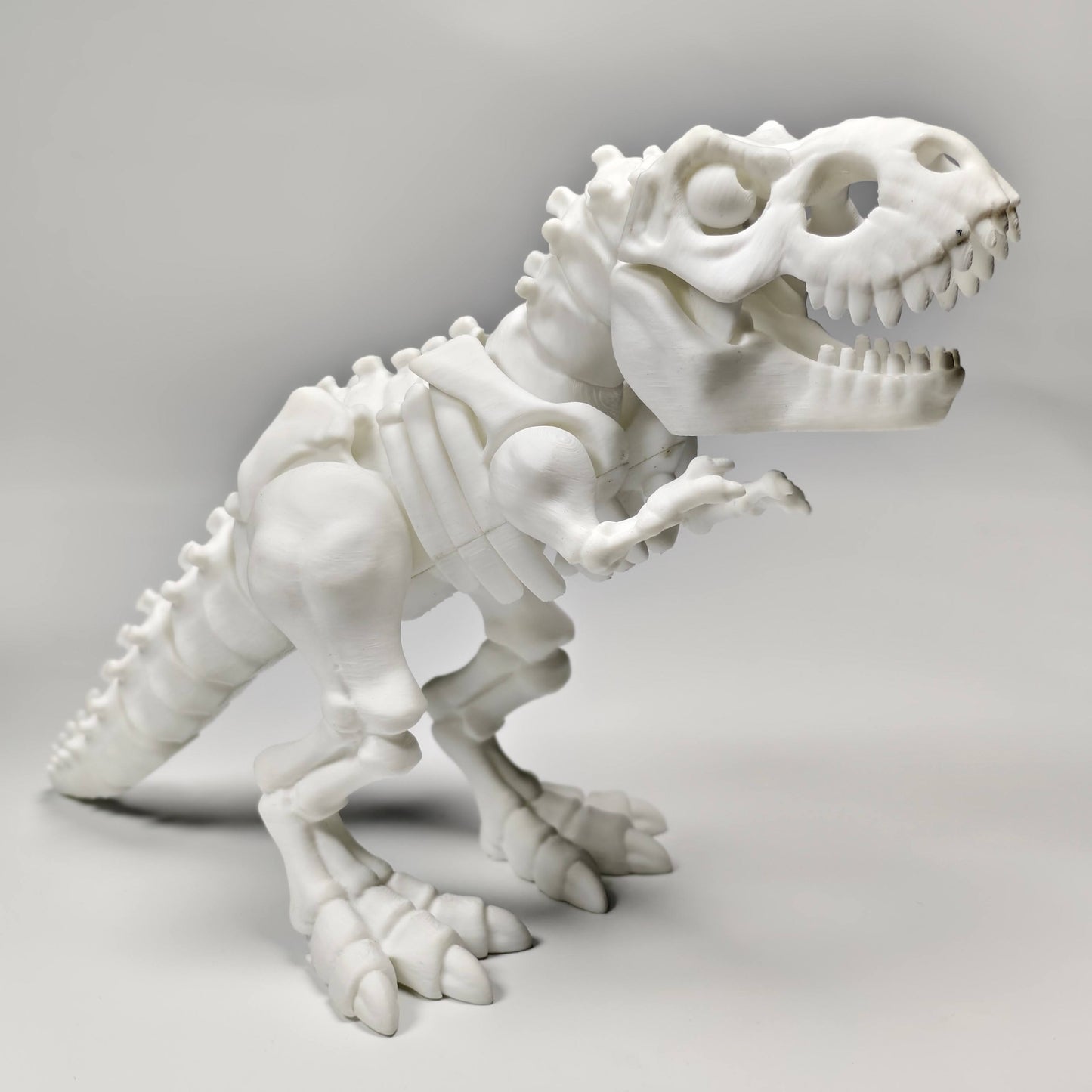 3D printed skeleton Tyrannosaurus Rex multi-joint movable model toy Halloween ornaments